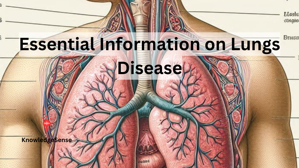 Essential Information on Lungs Disease (फेफड़ों की बीमारी पर आवश्यक जानकारी) 1 In Blog Image 87