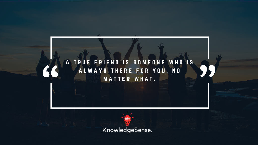 Friendship Day Wishes for Bestie, Best Friend (Boys & Girls) 3 Friendship Day Quote for Best Friends