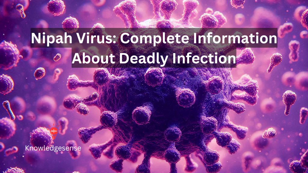 Nipah Virus: Complete Information About Deadly Infection (निपा वायरस: जानलेवा संक्रमण के बारे में पूरी जानकारी) 1 In Blog Image 57